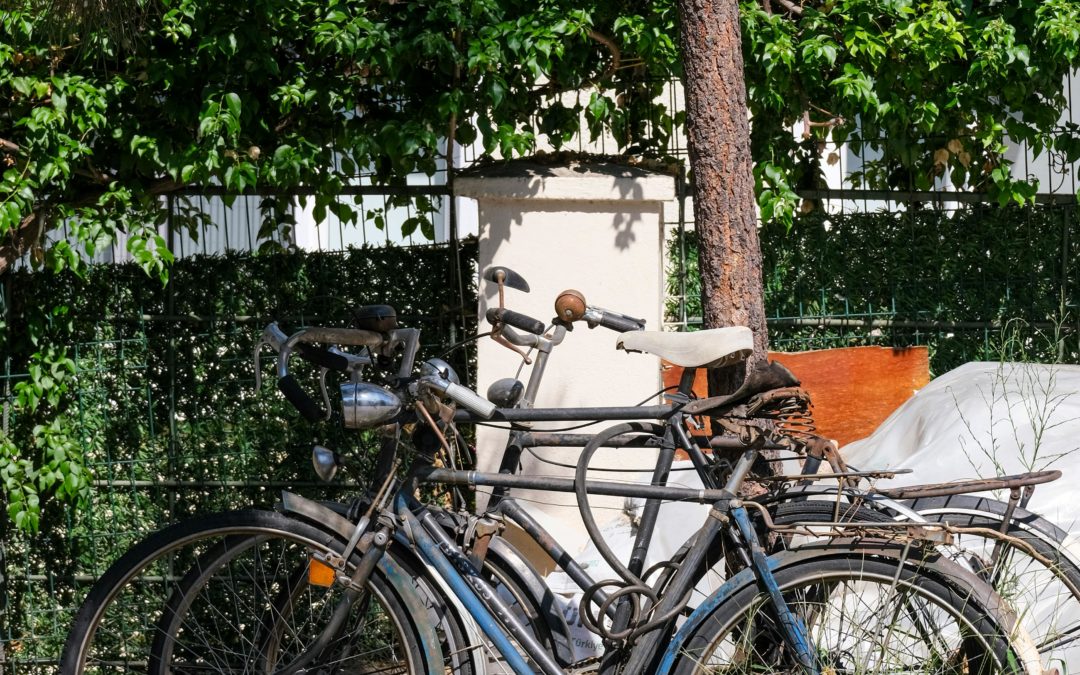 Turismo su due ruote. AI, fake news e sostenibilità: le nuove sfide della comunicazione