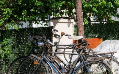 Turismo su due ruote. AI, fake news e sostenibilità: le nuove sfide della comunicazione